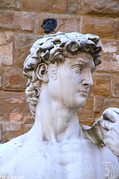 David's facial features and hair details certainly set the classic style