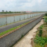 disney-site-left-separation-wall-middle-shanghai-suburbia-right-big