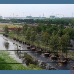 view-from-south-of-the-shanghai-disney-lake-big