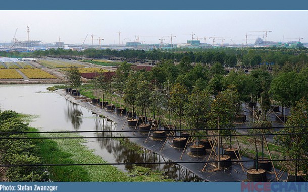 View from south of the Shanghai Disney lake.