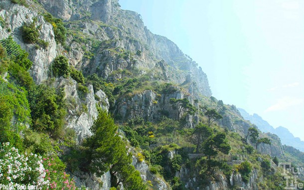 Trees and flowers create a dramatic cliff hanging gardens.