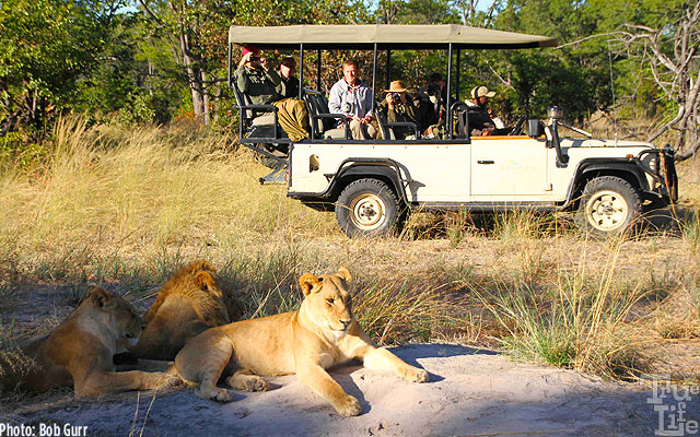 Sister, son, and mom just ignore the intruding Land Rover humans