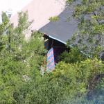 IMG_1396