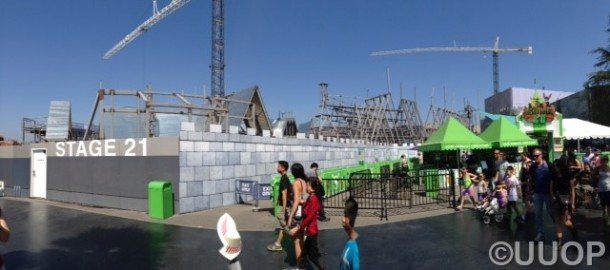 photo 3 (1)