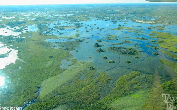 The Botswana Okavango Delta wetlands as seen from the air