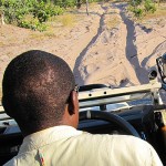 Many of the trails are deep sand which never stop the Land Rovers