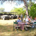 An elegant late afternoon lunch is served picnic style