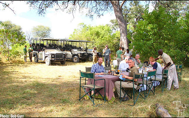 An elegant late afternoon lunch is served picnic style 