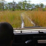 Land Rovers pass thru deep water swamps with ease