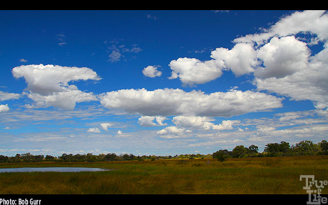 Bob's daily view from his tent porch - skies are different every day 