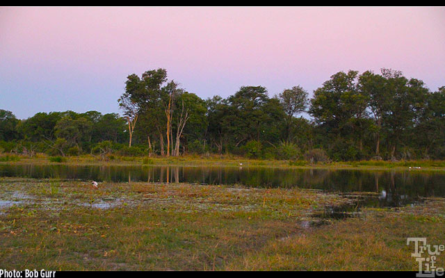 Sunset colors and the gentle sounds are perfect during cocktail hour