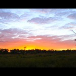 Every evening is a delight – the best time of each day enjoyed by all