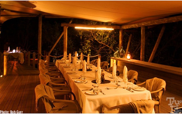 Hard to believe this is open-air dining surrounded by night wildlife