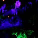 IMG_0633