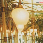 magic-of-wdw-0014-crystal-palace-lights