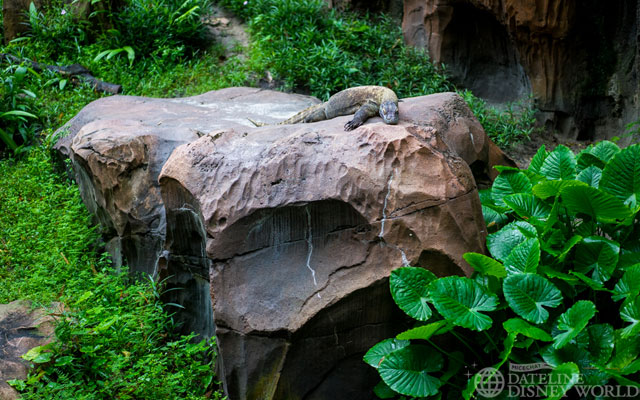_DSC7311