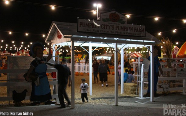 IMG_0695