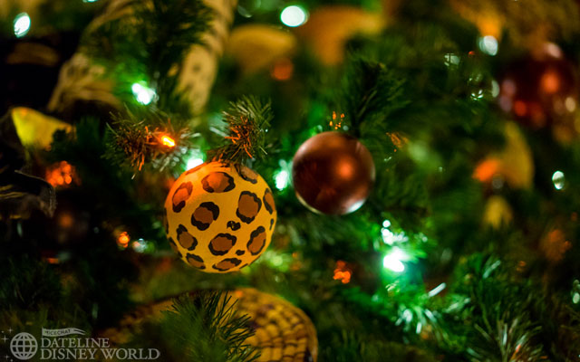 _DSC8521
