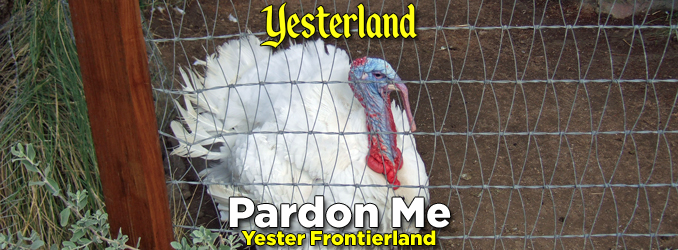 Yesterland: Happiest Turkeys on Earth