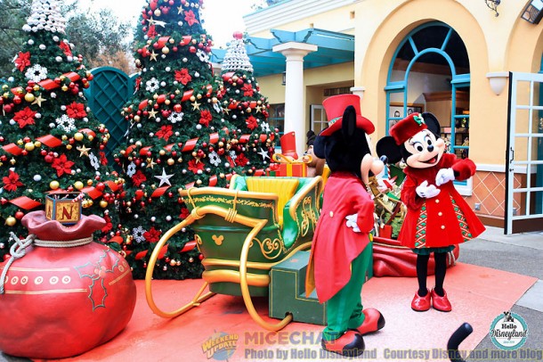 DLP1217201416