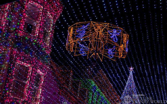 _DSC8618