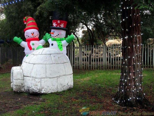DiscoveryKingdom11