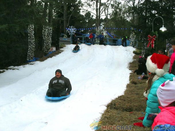 DiscoveryKingdom14