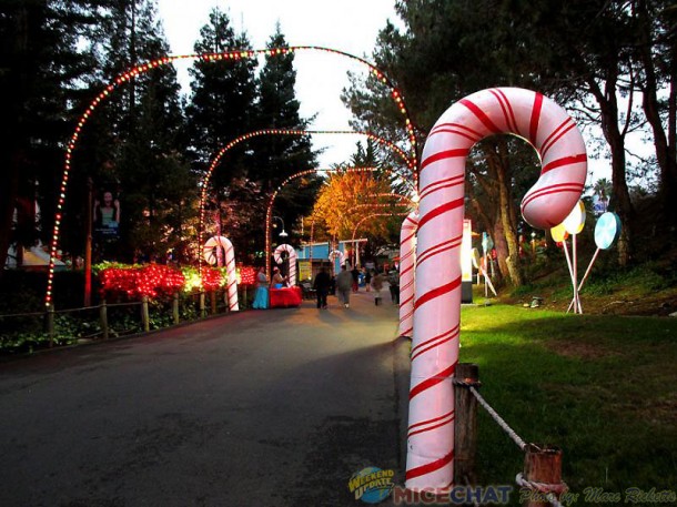 DiscoveryKingdom24