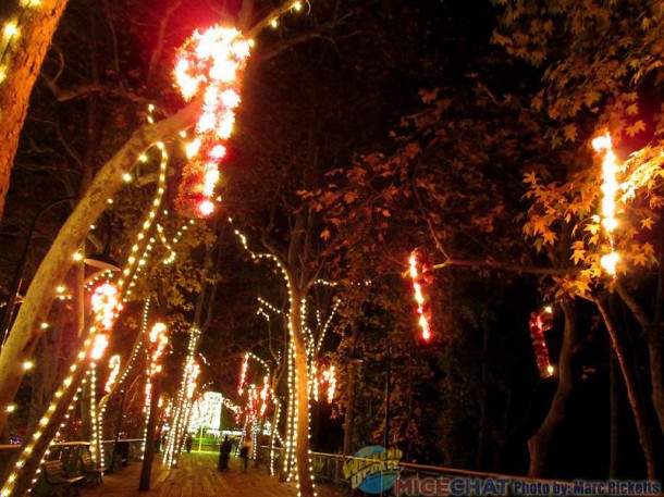 Holiday Lights Sparkle At Gilroy Gardens