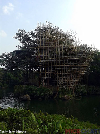Jane is remodeling! Love how the bamboo scaffolding fits the theme here.