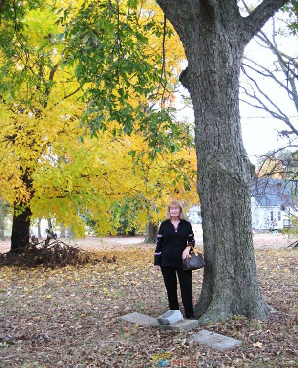 The tree with markers