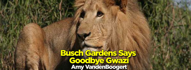 Busch Gardens Says Goodbye Gwazi