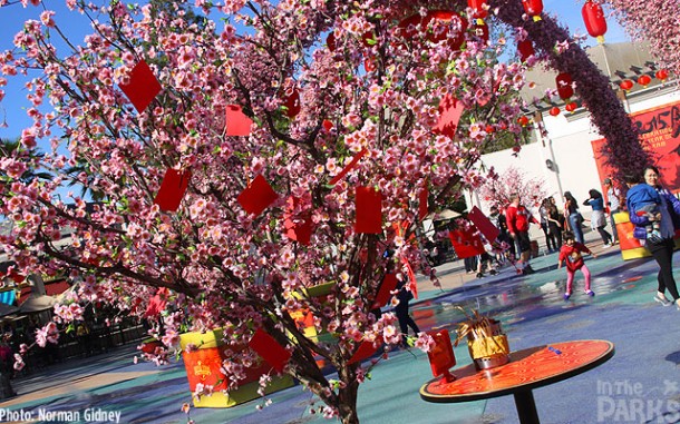 IMG_0620