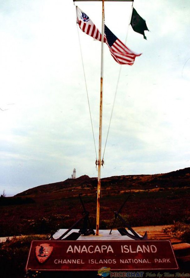 02flags