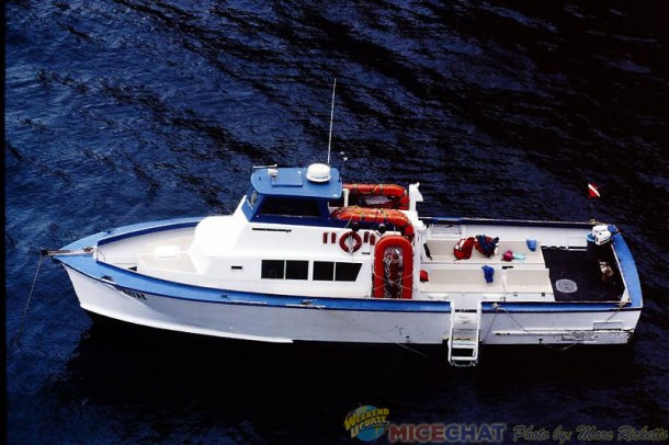 03boat