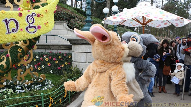 04031542