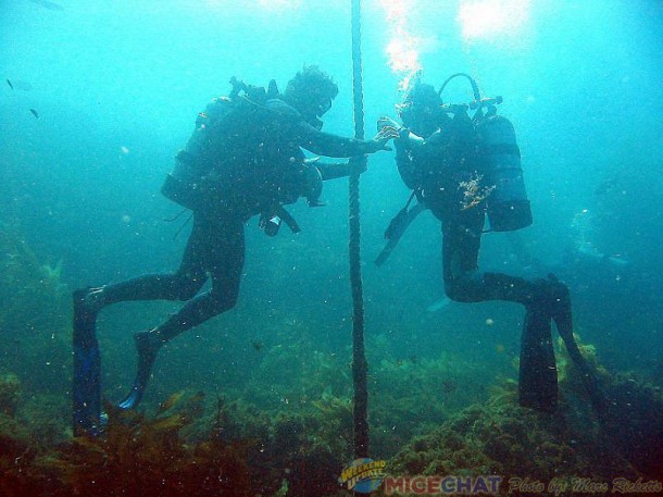 28Divers