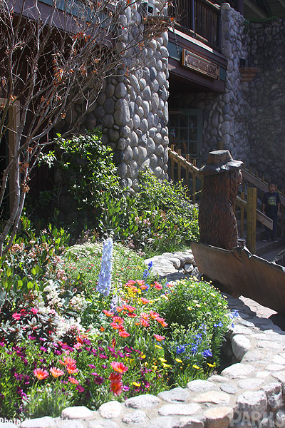 IMG_1638