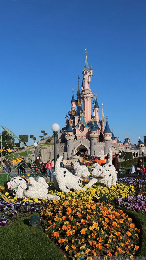 041015DLP41