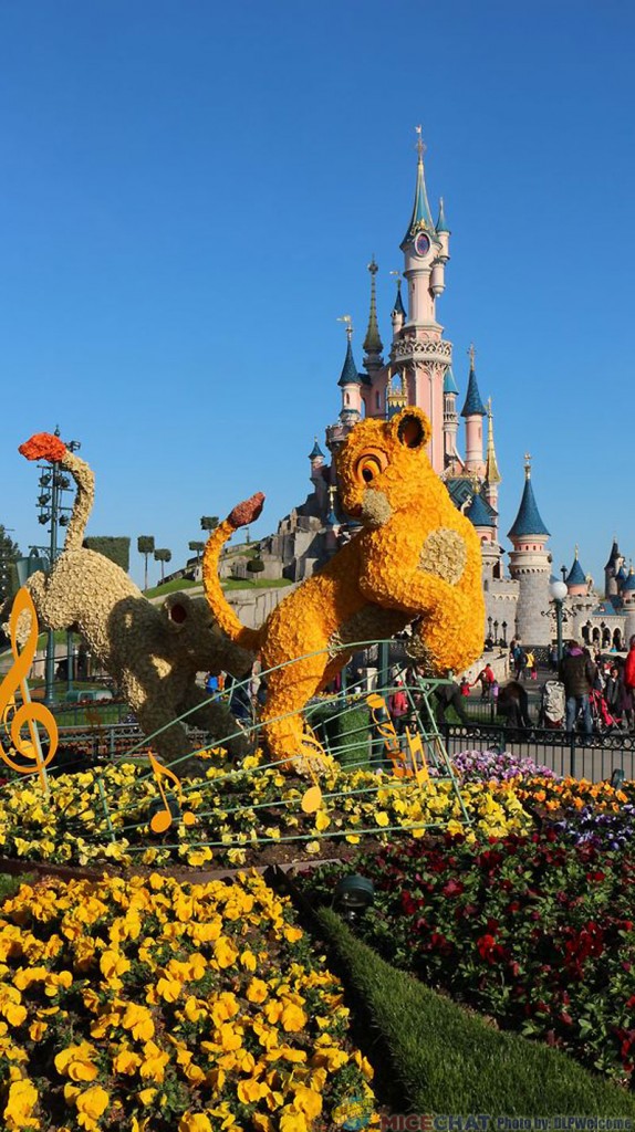 041015DLP49