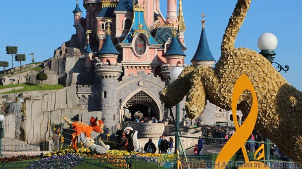 041015DLP50