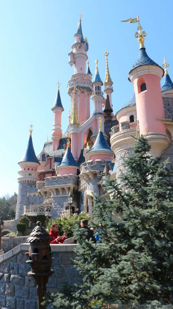 041015DLP59