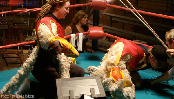 here is a clear shot of what it looks like as we set up for the scene. Terri can be seen with the puppet on her arm. The other chicken appears to be streatching.