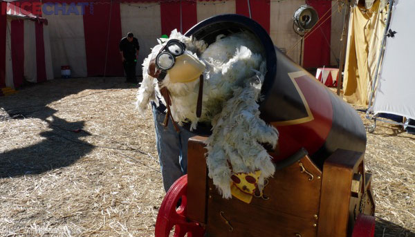 The chicken sits in the cannon with Terri nestled inside to work him.