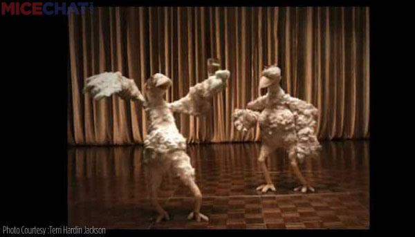 chickens dance