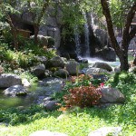 IMG_1227