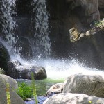 IMG_1229