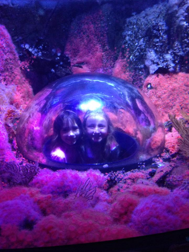 LEGOLAND-SEALIFE