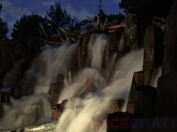DCA-Bonus-Grizzly2