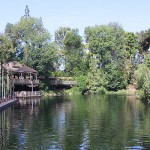 IMG_0031